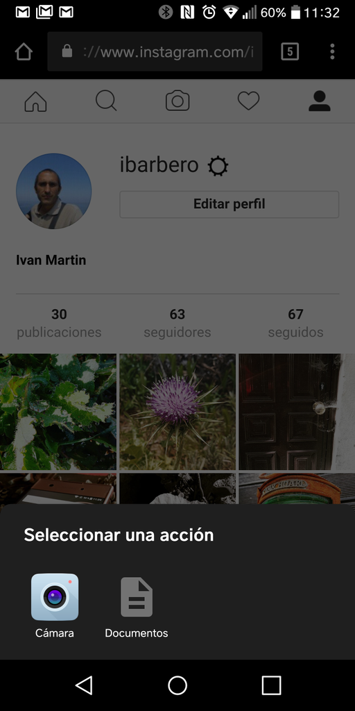 Subir imágenes navegador con Instagram