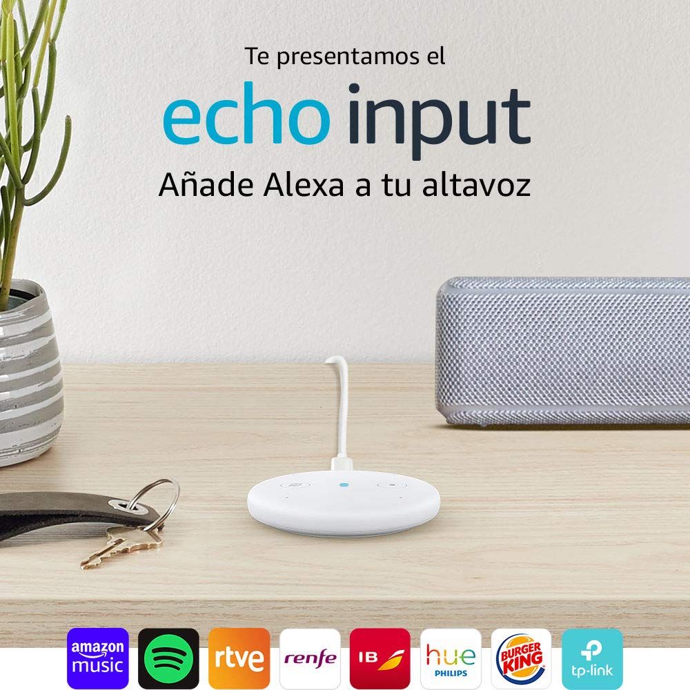 Amazon Echo Input