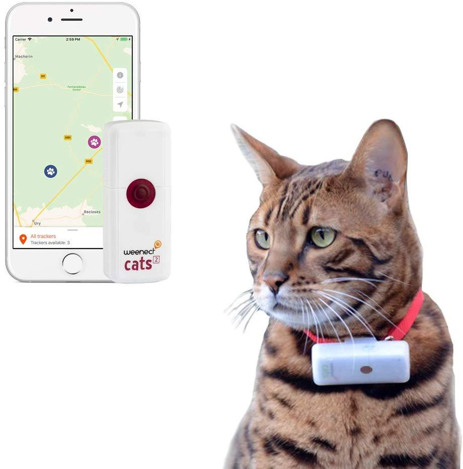 Weenect Cats 2 локализатор GPS