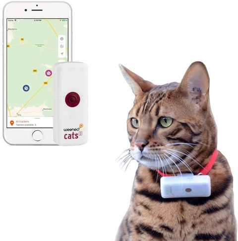 Weenect Cats 2 - Rastreador GPS para Gato | Seguimiento GPS en Vivo | Sin  límite de Distancia | El rastreador más pequeño del Mercado | Funciona con