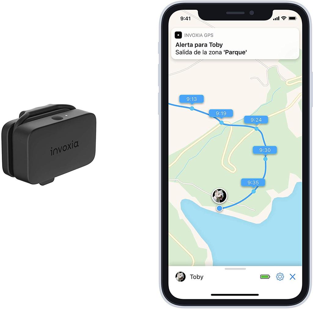Invoxia Pet Tracker mit GPS-Ortung
