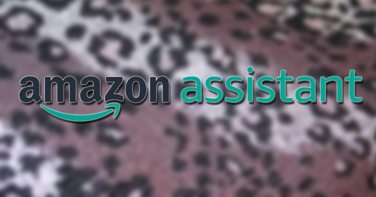 Logotipo de Amazon Assitant