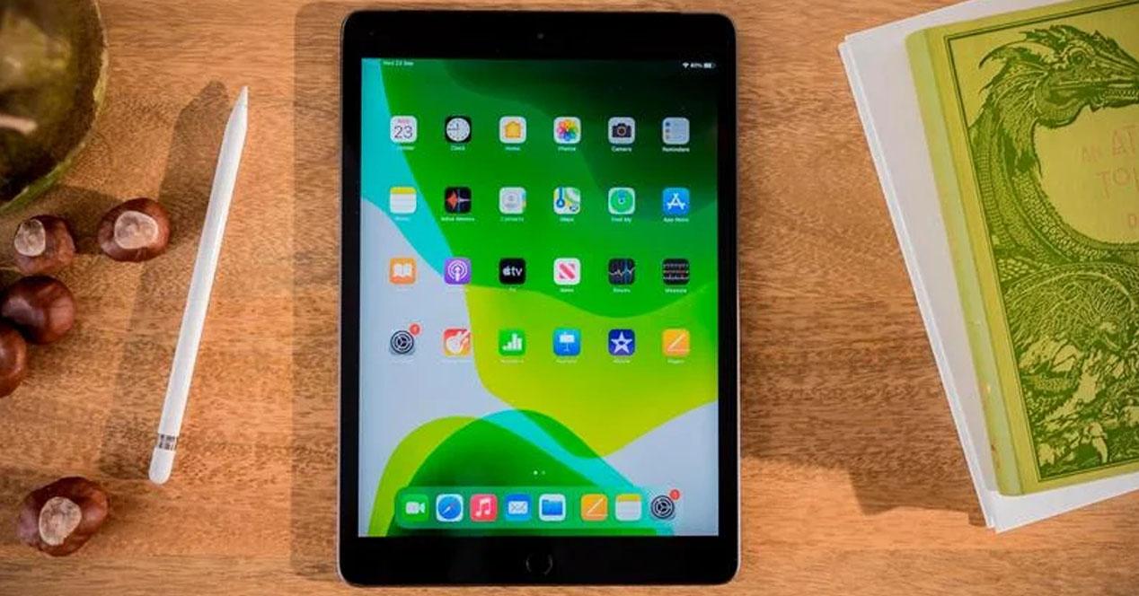Apple iPad 2020 10,2 pulgadas