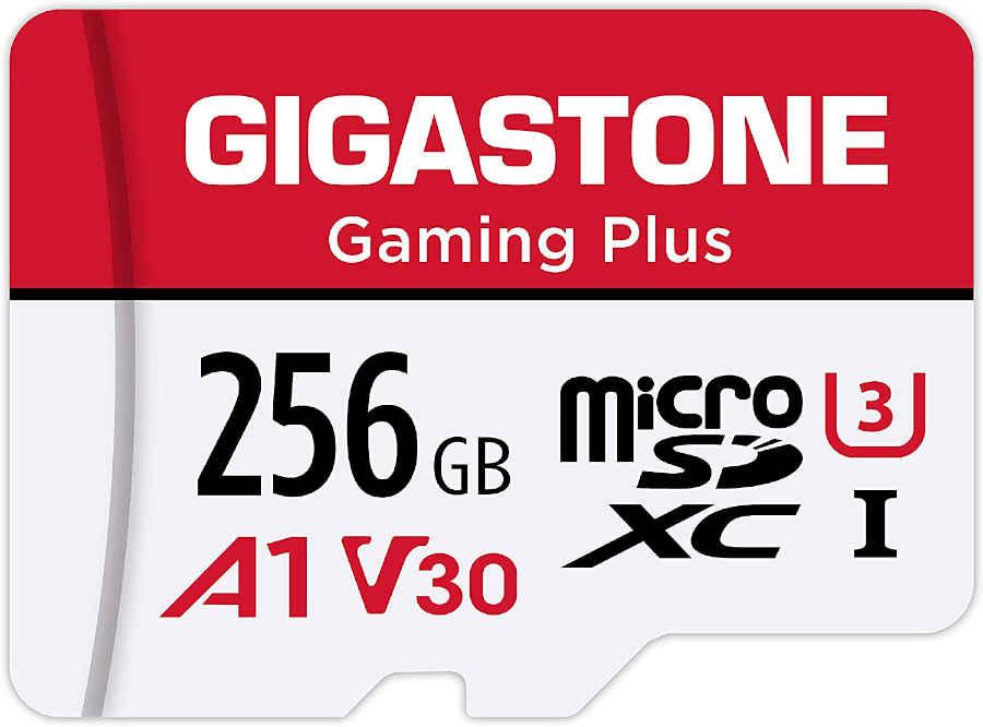 Gigastone microSD 256 GB