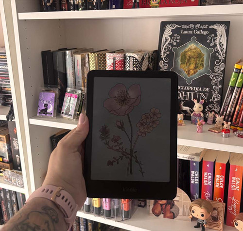 Kindle Colorsoft