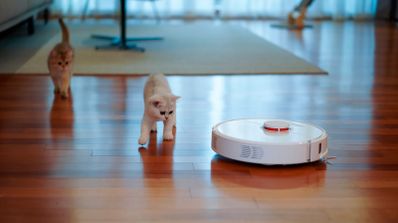 Como elegir robot aspirador
