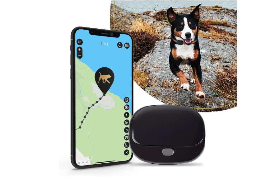 GPS PAJ Pet Finder día del perro guía