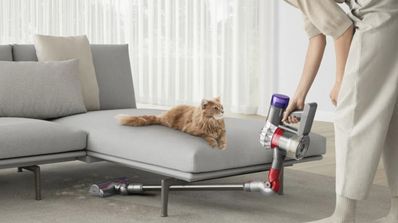 Dyson V8 Motorhead
