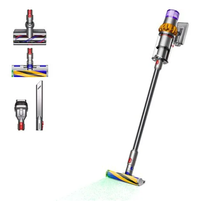 Dyson v15 Detect Absolute