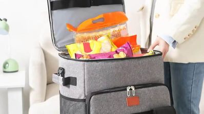 Prowalk bolsa térmica nevera con carro playa