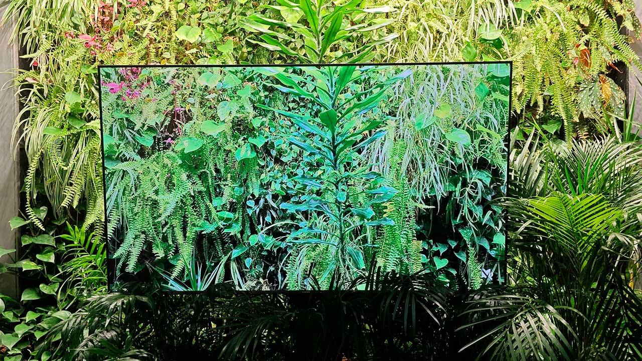 TV Xiaomi 2025