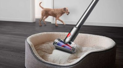Dyson V15 Detect Absolute aspirador