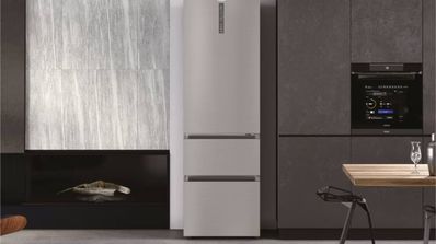Frigorífico Combi Haier Total No Frost 3D 60 Series 3 foto