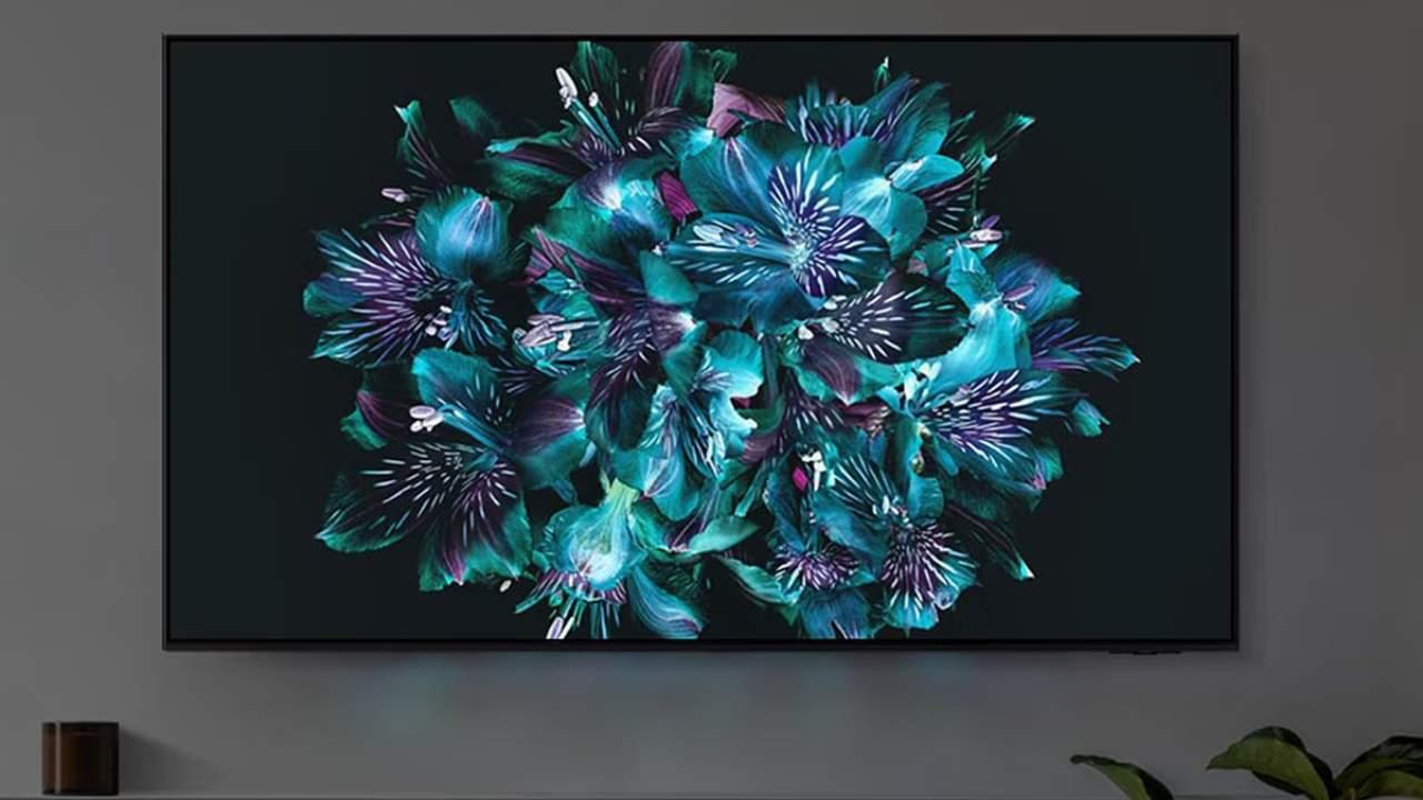 TV OLED 163 cm (65) Samsung TQ65S93CAT ECI
