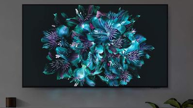 TV OLED 163 cm (65) Samsung TQ65S93CAT ECI