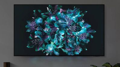 TV OLED 65 - Samsung TQ65S90CATXXC foto