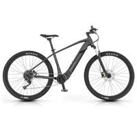 Bicicleta eléctrica Ridon