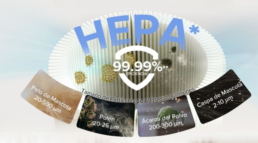 Filtro HEPA de la aspiradora LEVOIT