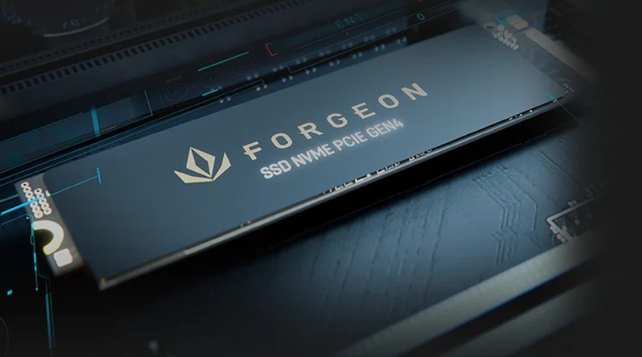Forgeon Nimbus PRO Disco SSD para ordenadores y portatiles