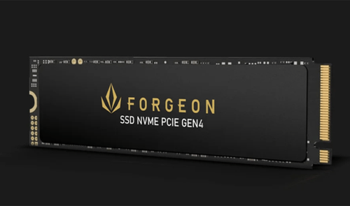 Forgeon Nimbus PRO Disco SSD