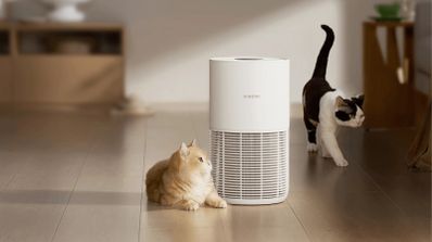 Xiaomi Smart Pet Care Air Purifier gatos