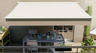 Toldo brazo extensible