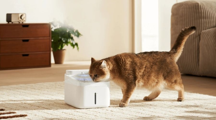 Xiaomi Smart Pet Fountain 2 distintos modos