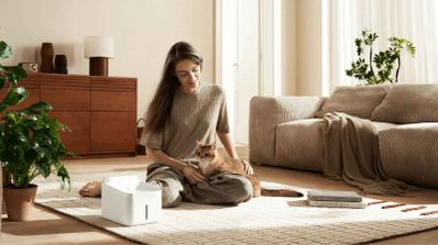 Xiaomi Smart Pet Fountain 2 foto uso