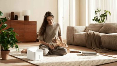 Xiaomi Smart Pet Fountain 2 foto uso