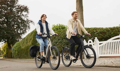 CRIVIT Bicicleta eléctrica «Classic» diseño