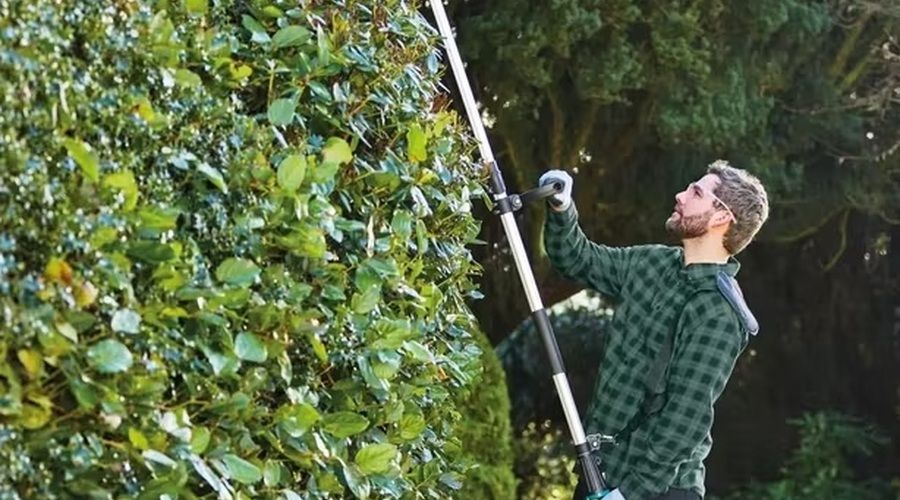 Hombre utilizando un cortasetos telescópico inalámbrico para podar la parte superior de un seto alto