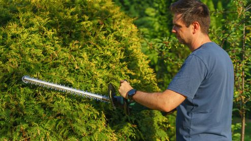 Hombre utilizando un cortasetos inalámbrico para podar un seto en un jardín