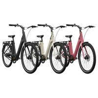 CRIVIT Bicicleta eléctrica Urban Y.3