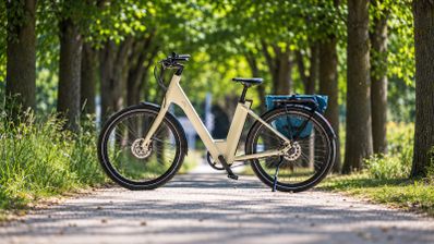 Bicicleta eléctrica CRIVIT Urban Y.3 beige aparcada en un camino arbolado, con una bolsa azul en el portaequipajes trasero.