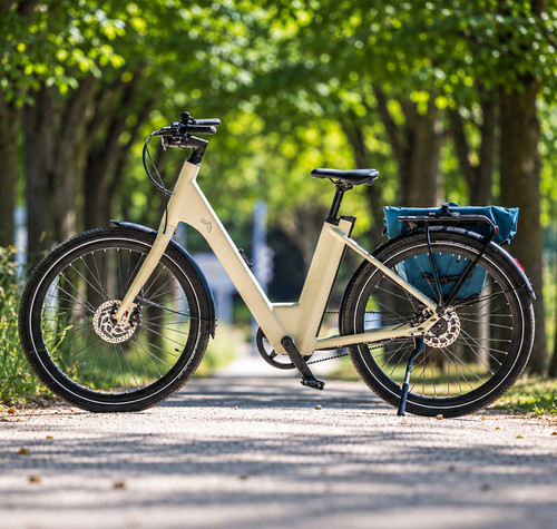 Bicicleta eléctrica CRIVIT Urban Y.3 beige aparcada en un camino arbolado, con una bolsa azul en el portaequipajes trasero.