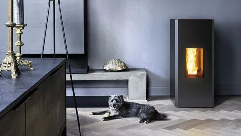 Estufa de pellets negra encendida en un salón, con un perro tumbado cerca.