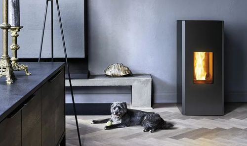 Estufa de pellets negra encendida en un salón, con un perro tumbado cerca.