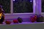halloween aldi decoración