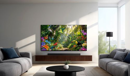 Televisor Samsung S93H centrado en un salón luminoso, con imágenes de aves tropicales en pantalla y dos sofás grises.