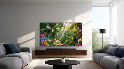 Televisor Samsung S93H centrado en un salón luminoso, con imágenes de aves tropicales en pantalla y dos sofás grises.