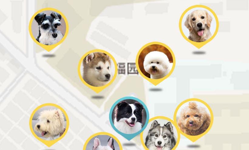 Seguir mascotas con Xiaomi Peer Dog Locator