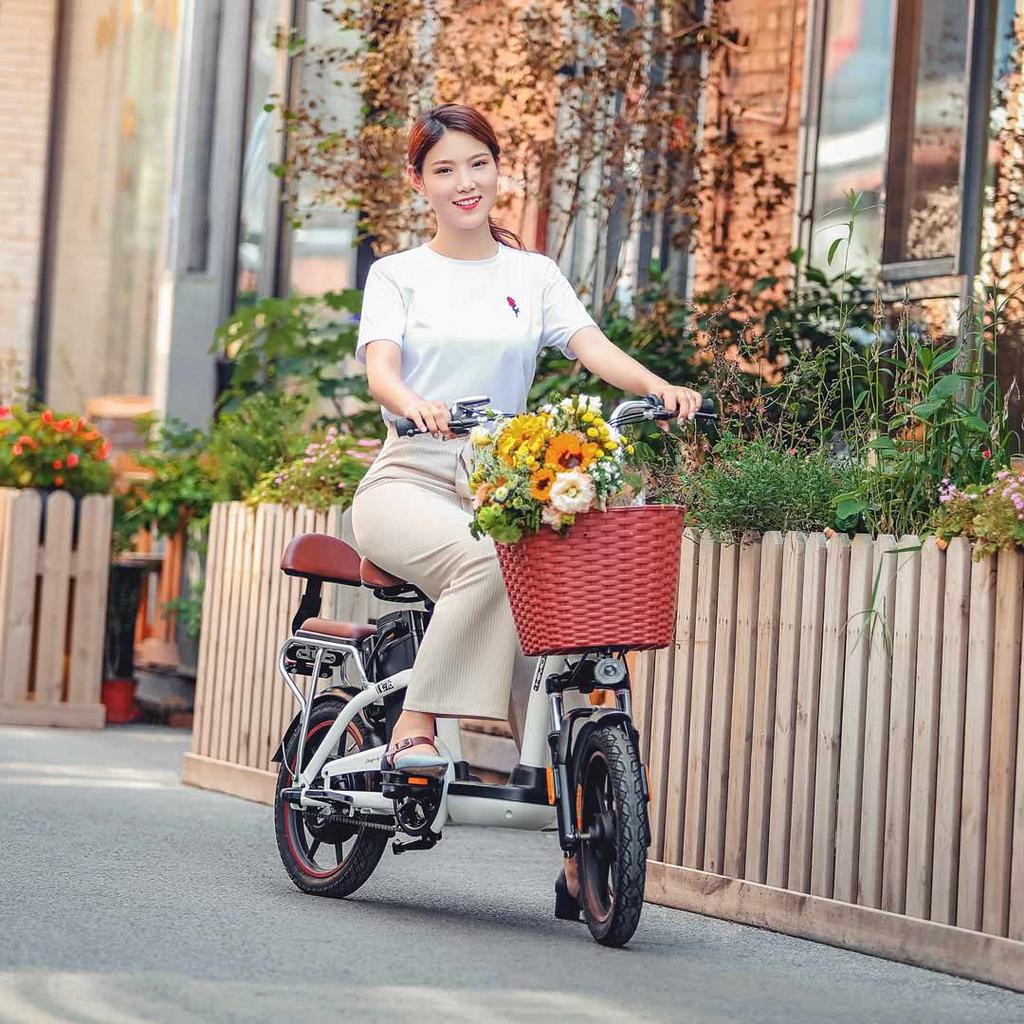 Bicicleta eléctrica Xiaomi HIMO C16