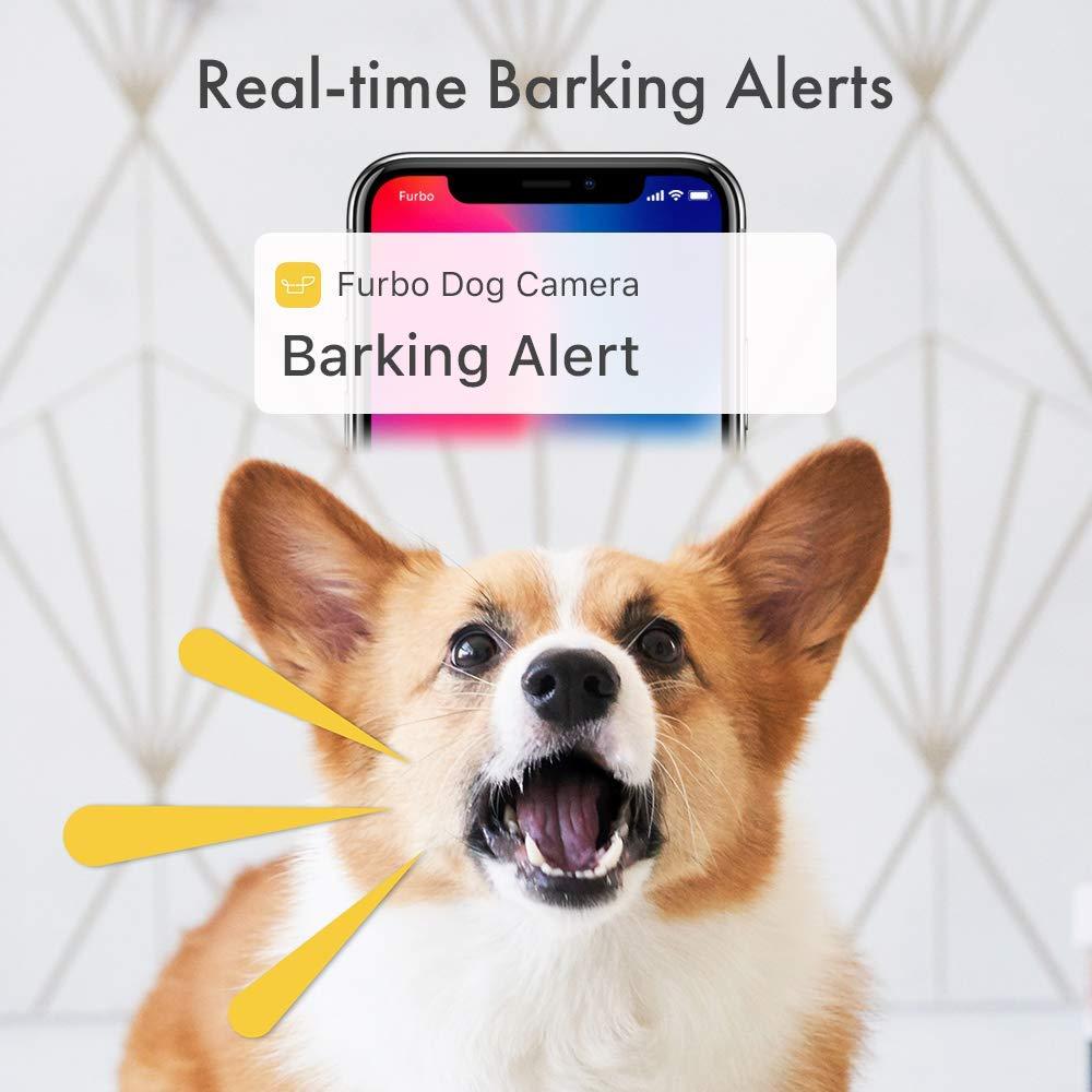Alerta de ladridos en cámara para mascotas